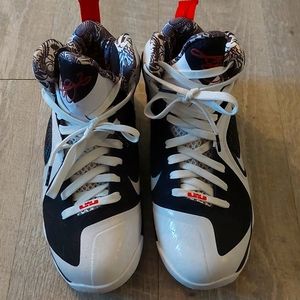 Nike Lebron 9 Freegums